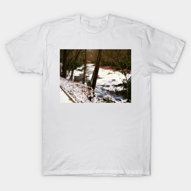 Winter River T-Shirt by PaulLu